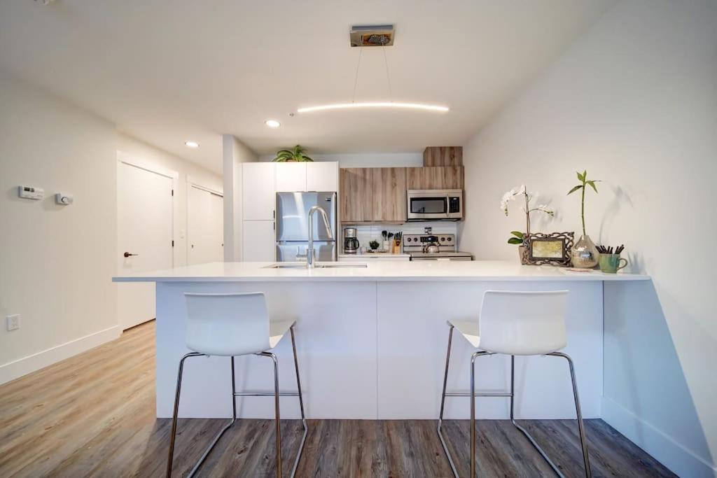 Luxurious Modern 2Br Condo Sleeps 5 Coffee, Ac, Wifi Halifax Eksteriør bilde