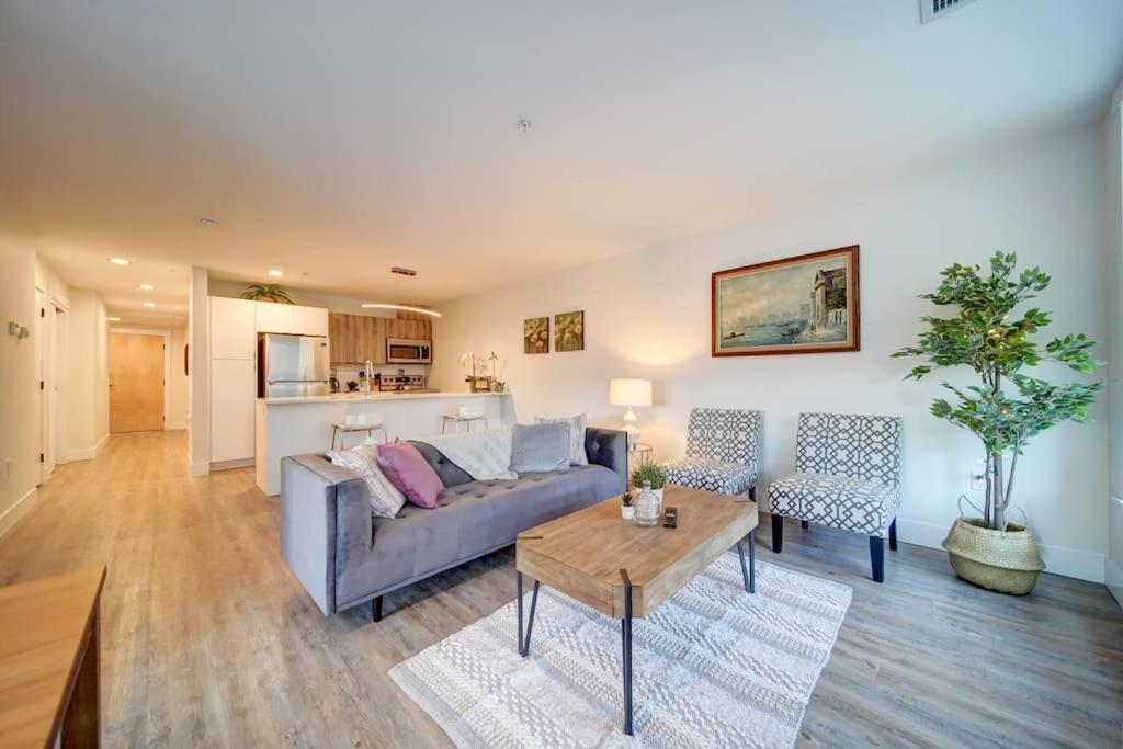 Luxurious Modern 2Br Condo Sleeps 5 Coffee, Ac, Wifi Halifax Eksteriør bilde