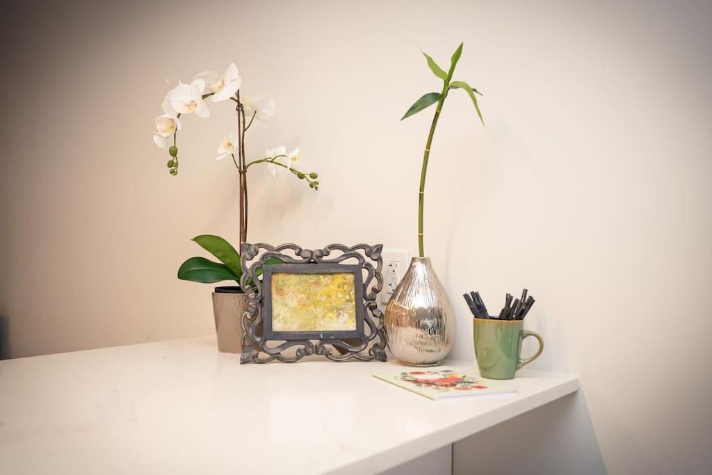 Luxurious Modern 2Br Condo Sleeps 5 Coffee, Ac, Wifi Halifax Eksteriør bilde